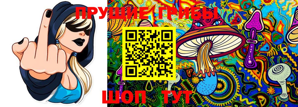 Галлюциногенные грибы мицелий  Вход с VPN  Лабинск 